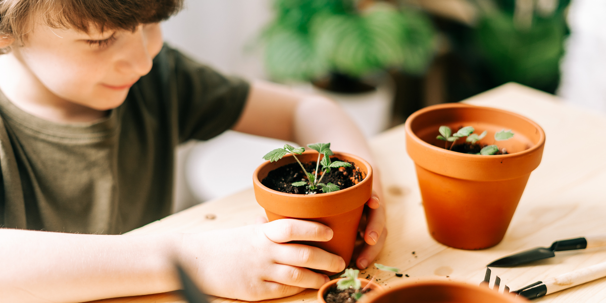 image of a small child potting a plant