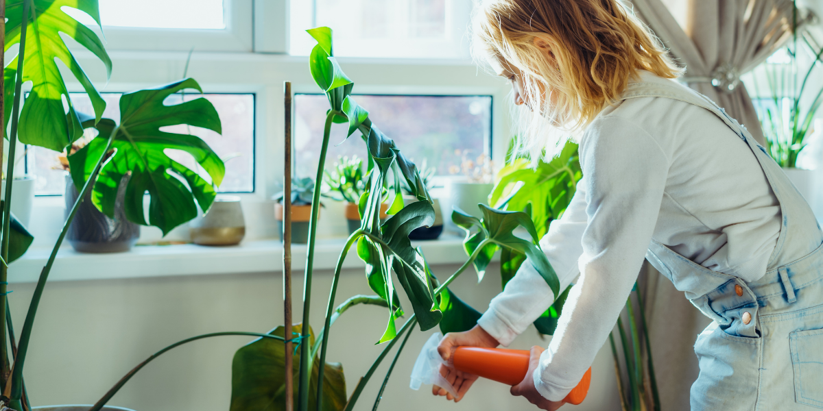 Picture of teacher watering plants